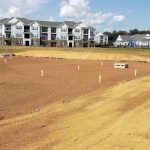 Clearing and Grading