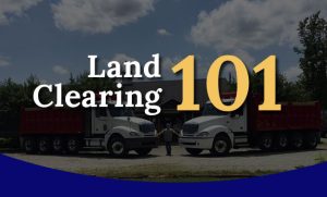 Land Clearing 101