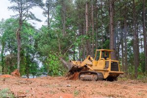 What Is Involved in Commercial Land Clearing