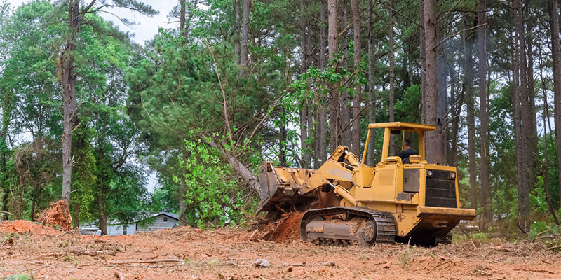 What Is Involved in Commercial Land Clearing