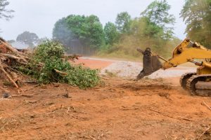 Is Land Clearing Necessary Before Construction?