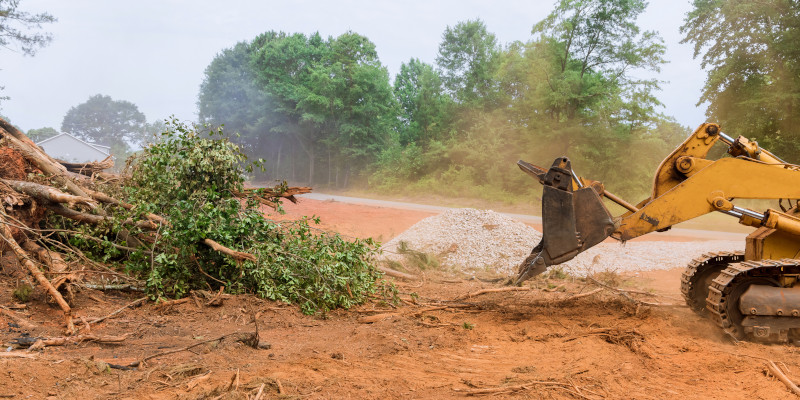 Is Land Clearing Necessary Before Construction?